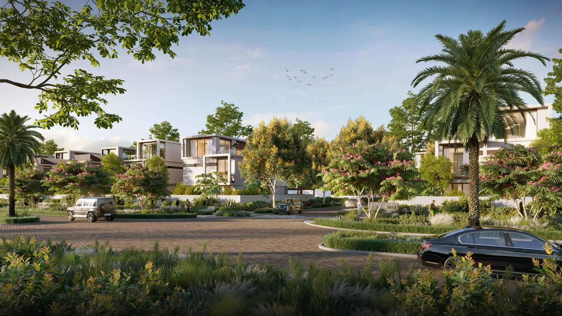 Project image 13